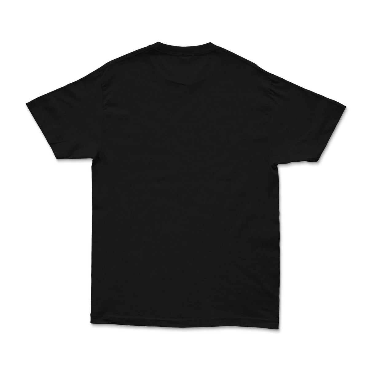 Black T-shirt back view with plain crewneck