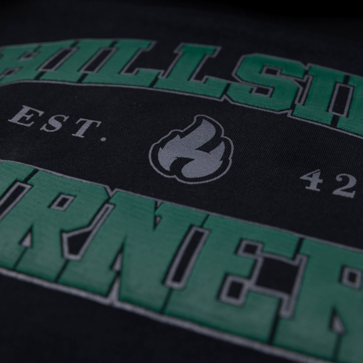 Black hoodie close-up of green lettering and flame icon with EST 420