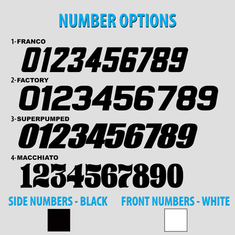 Motorcycle number options chart with large digit styles; side numbers black, front white